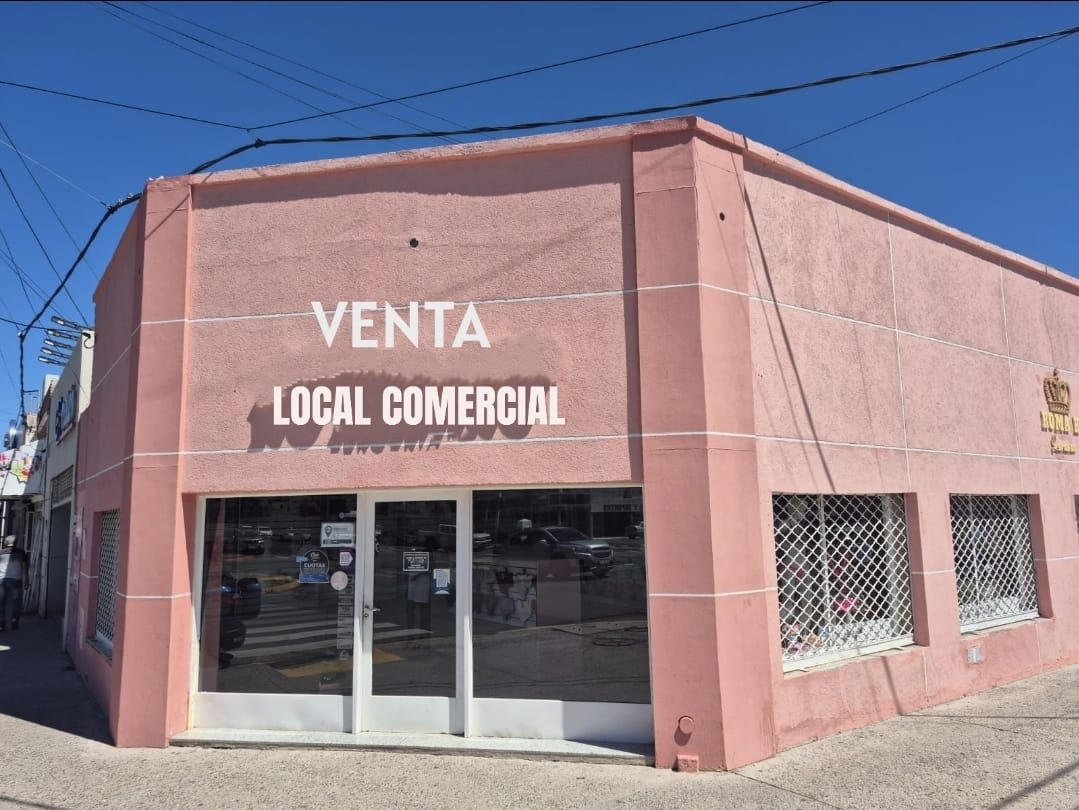 Local Comercial Av del Travajo y Carlos H. Rodriguez